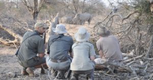 scouting for track kruger 2 canyon