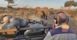 sound safari