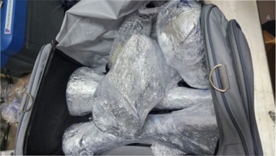 Some of the horns found in the baggage of Sthembiso Joel Gumede in Singapore. (Photo: National Parks Board of Singapore)