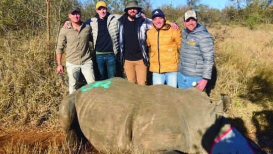 stormers rugby stars and nkonbe rhinos