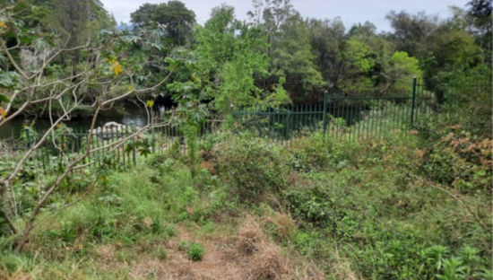 Before clean-up