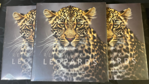 Remembering Leopards- cover photo