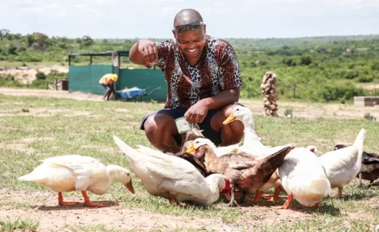 Vusi Tshabalala first got to know about animals herding his grandfather’s livestock as a young boy. More than 20 years on, he could write a book not dissimilar to Gerald Durrell’s ‘My Family and Other Animals’, obviously not set on the Greek island of Corfu, but in Acornhoek on the fringe of the Kruger National Park. (Photo: © WWF | Warren Ngobeni | Wild Shots Outreach)