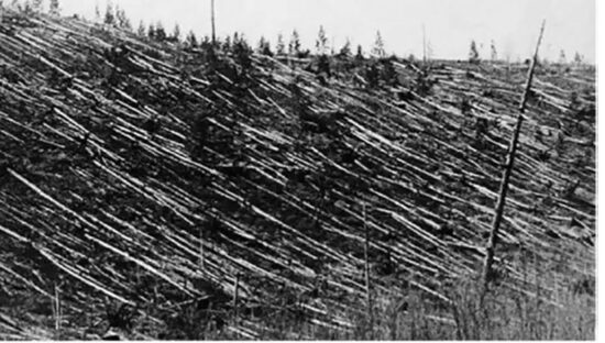Tunguska Aftermath - NASA