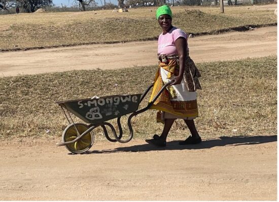 Rural resilience: Evelyn Mthombheni wheels packets of sweet potatoes for sale near Mahlale High School in Welverdiend. Life is tough in rural communities bordering game reserves in the Greater Kruger, but this has not dampened the enthusiasm of many young learners with hopes and dreams for a better future. Photo: Fred Kockott