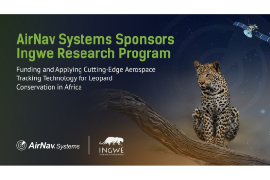 AirNav&Ingwe Ad