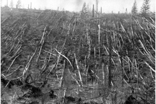Tunguska devastation
