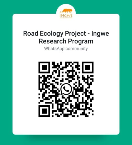 QR code whatsapp group