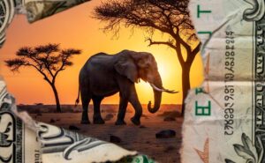 What happens to conservation when the world stops paying for it? That was the key question a Tipping Points webinar titled “Beyond Aid: Rethinking Conservation Funding in a Changing World.” (Image generated by AI)