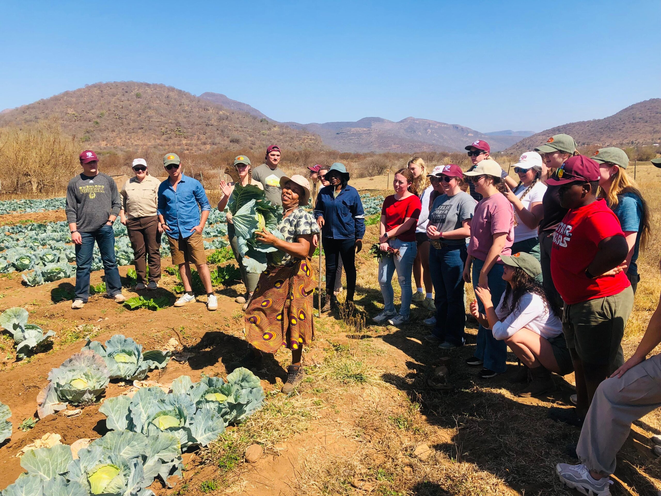 Farmers share their knowledge on climate-smart agriculture[39]