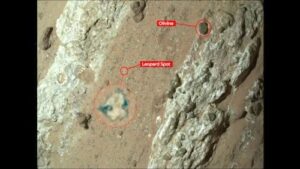 Leopard Spots NASA JPL