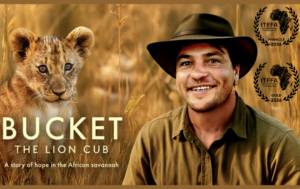 BUCKET THE LION CUB